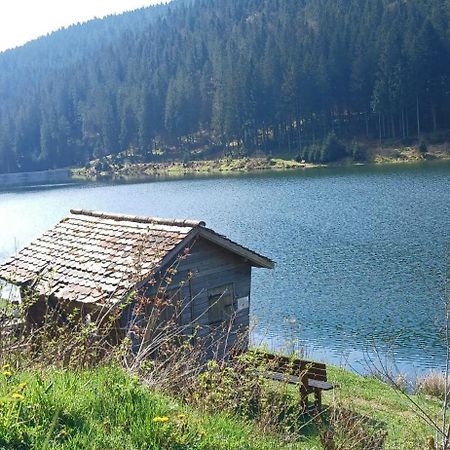 Outdoor & Relax Blackforest Neukirch  외부 사진
